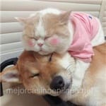 Avatar de Inés Cazares